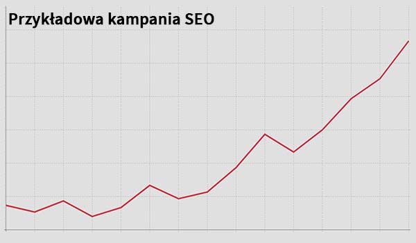 Mlotowski Michal - kampania pozycjonowania w google